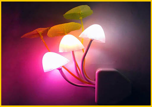 project 53
